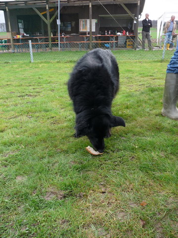 p1030414.jpg